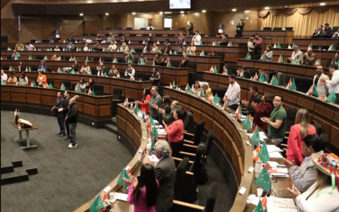 DIPUTADOS APRUEBAN NORMATIVA QUE GARANTIZA SUBNACIONALES 2026