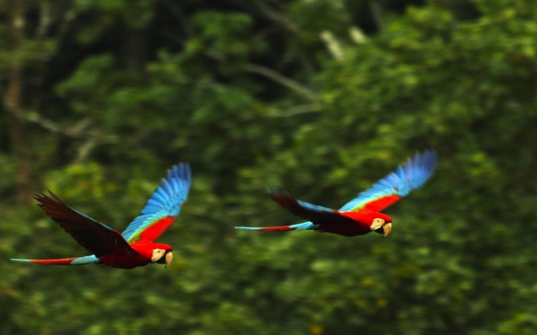 BENI Y SUS OCHO PROVINCIAS