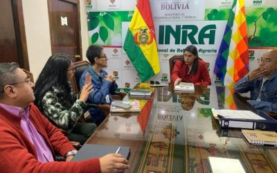 ORDENAMIENTO ESTATAL REDIRECCIONA CONTROL PLENO DEL INRA HACIA PRESIDENCIA