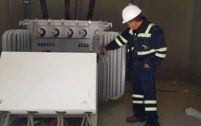 GOBIERNO AMENAZARAÍA DERECHOS LABORALES EN YPFB Y ENDE