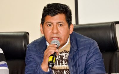 NO ES POSIBLE REALIZAR ELECCIONES SUBNACIONALES Y JUDICIALES SIMULTÁNEAMENTE EN BOLIVIA