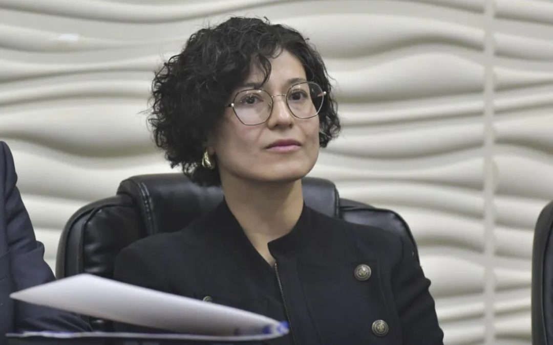 DIRECTORA ANH EXPONE PASADO CON EL MAS Y AÑEZ Y DESATA RECHAZO EN REDES SOCIALES