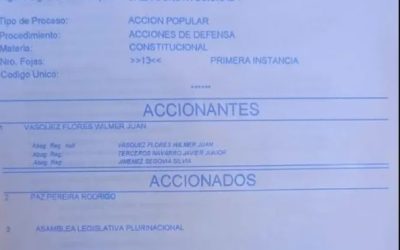 ACCIÓN POPULAR BUSCA SUSPENDER DECRETO QUE ELIMINA SUBVENCIÓN ESTATAL A COMBUSTIBLES NACIONAL