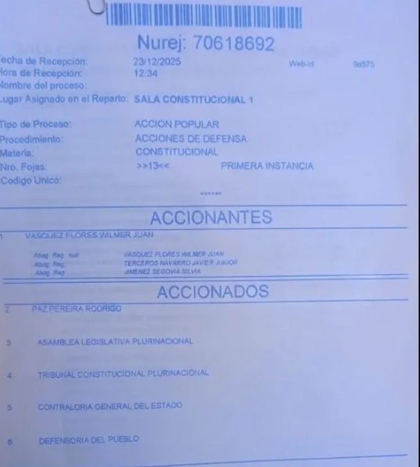 ACCIÓN POPULAR BUSCA SUSPENDER DECRETO QUE ELIMINA SUBVENCIÓN ESTATAL A COMBUSTIBLES NACIONAL