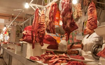 DESABASTECIMIENTO INTERNO CONTRASTA CON RÉCORD EXPORTADOR DE CARNE DE RES BOLIVIANA