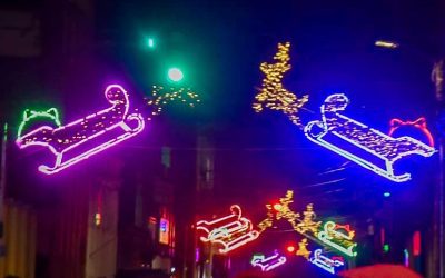 TRINIDAD ENCIENDE SU NAVIDAD CON UNIDAD ESPERANZA Y LIDERAZGO MUNICIPAL