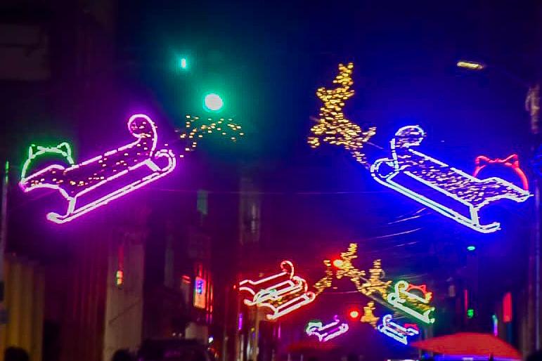 TRINIDAD ENCIENDE SU NAVIDAD CON UNIDAD ESPERANZA Y LIDERAZGO MUNICIPAL