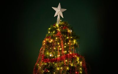 DIRIGENTES DENUNCIAN FERIADO NAVIDEÑO DE DOS DÍAS COMO MANIOBRA PARA DESMOVILIZAR PAROS Y BLOQUEOS