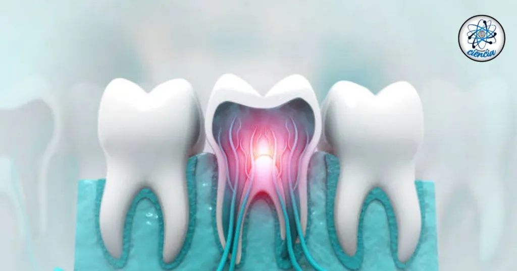 Científicos desarrollan nanorobots que reconstruyen los dientes sin necesidad de dentistas