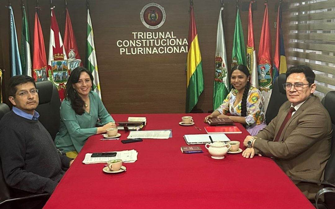 TCP CONFIRMA PÉRDIDA DE PERSONERÍA DE ADN Y LO DEJA FUERA SUBNACIONALES
