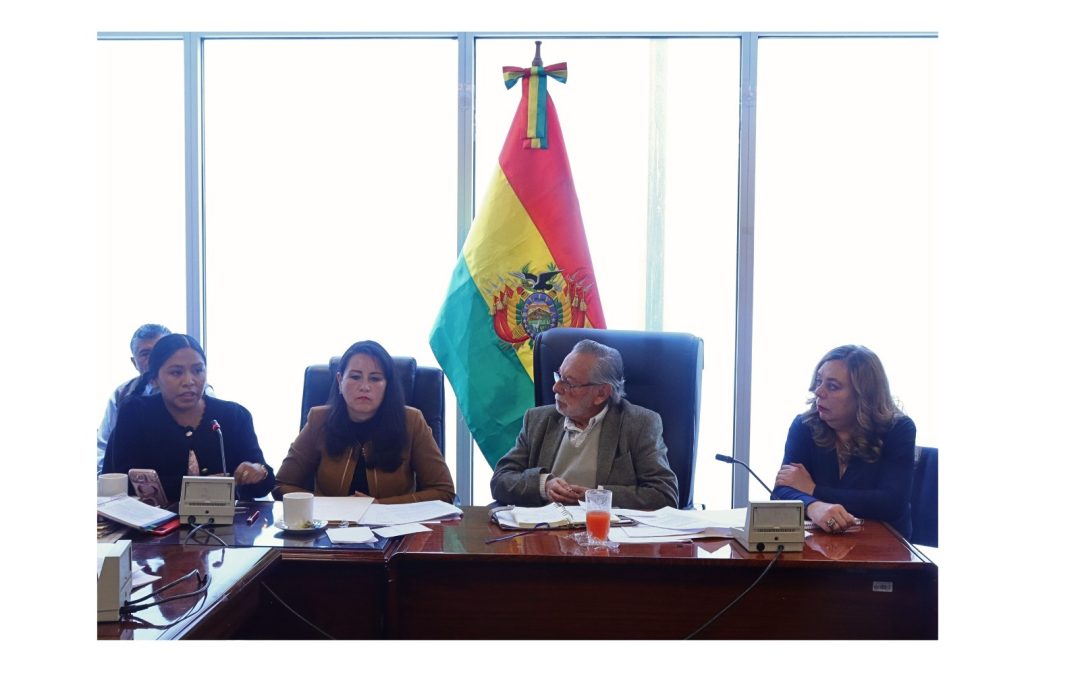 COMISIÓN EN DIPUTADOS APRUEBA PROYECTO TRANSITORIO PARA FUNCIONAMIENTO DEL TCP Y TSJ