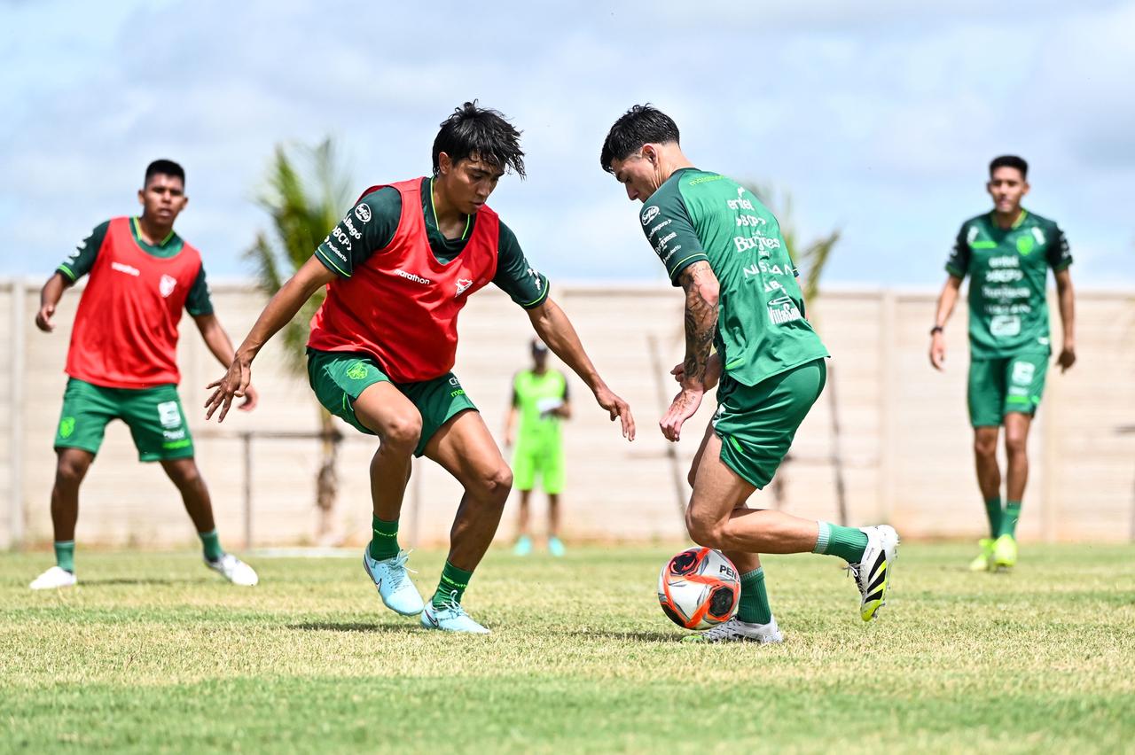 WhatsApp Image 2026-01-15 at 08.39.31