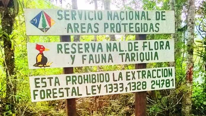 JUZGADO AGROAMBIENTAL ADMITE CAUTELARES Y PARALIZA TEMPORALMENTE PROYECTO PETROLERO SAN TELMO NORTE