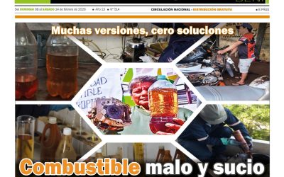 EL MAMORÉ, EDICIÓN 514