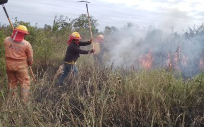 IMPRUDENCIA PROVOCA LOS PRIMEROS INCENDIOS FORESTALES EN BENI
