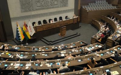 ASAMBLEA PLURINACIONAL APRUEBA ESTADO DE EXCEPCIÓN Y DA RESPALDO AL DECRETO DEL GOBIERNO
