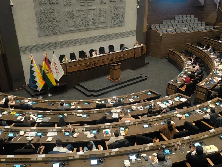 ASAMBLEA PLURINACIONAL APRUEBA ESTADO DE EXCEPCIÓN Y DA RESPALDO AL DECRETO DEL GOBIERNO