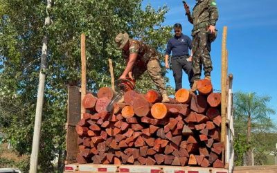 MADERA BOLIVIANA ES INCAUTADA CON CARGAMENTO MILLONARIO DE COCAÍNA EN BRASIL