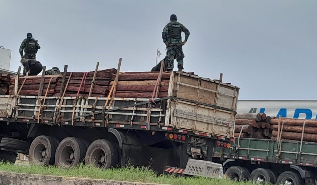 RETIENEN CAMIONES CON MADERA EN PUERTO QUIJARRO