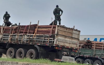 RETIENEN CAMIONES CON MADERA EN PUERTO QUIJARRO