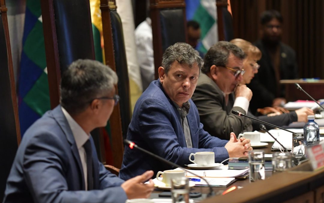 SENADO CREA COMISIÓN ESPECIAL PARA INVESTIGAR CASO NARCOMADERAS EXPORTADAS