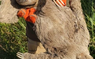 ACTIVAN PLAN DE RESCATE PARA PROTEGER FAUNA AMENAZADA POR LAS QUEMAS