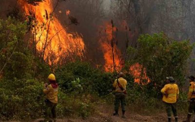 SENAMHI ALERTA INMINENTE SEQUÍA EN BENI Y REPORTA 172 FOCOS DE CALOR ACTIVOS