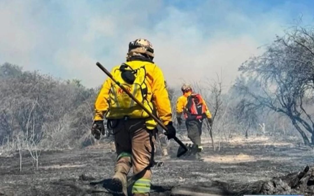 EL GOBIERNO ASEGURA QUE EL INCENDIO FUE CONTROLADO; SIN EMBARGO, EL FUEGO SIGUE ACTIVO EN TARIJA