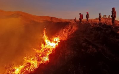 INCENDIOS CERCAN TARIJA Y LA EMERGENCIA SE AGRAVA