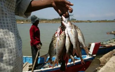 UNESCO RECONOCE LA PESCA ANCESTRAL WEENHAYEK COMO PATRIMONIO ALIMENTARIO