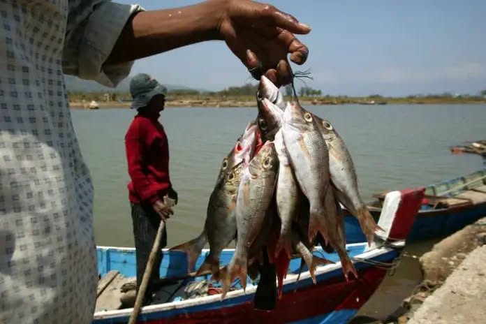 UNESCO RECONOCE LA PESCA ANCESTRAL WEENHAYEK COMO PATRIMONIO ALIMENTARIO