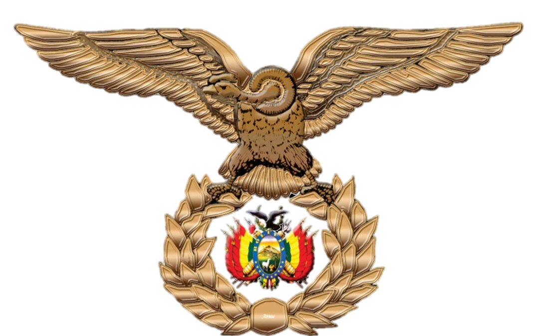 DOCUMENTOS OFICIALES REVELAN IRREGULARIDADES Y PRESUNTO TRÁFICO DE INFLUENCIAS EN LA FUERZA AÉREA