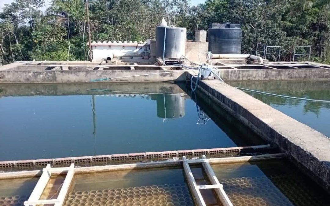 UN PROYECTO CONJUNTO BUSCA GARANTIZAR AGUA POTABLE EN SAN IGNACIO DE MOXOS