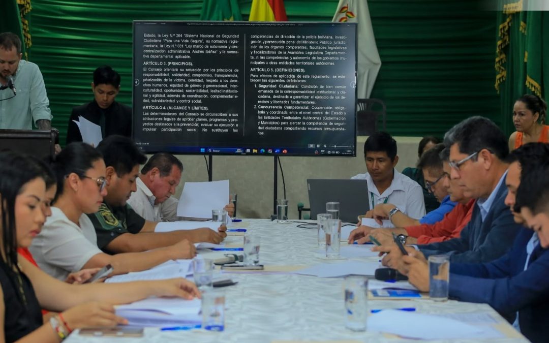 CONSEJO DE SEGURIDAD CIUDADANA DEFINE ACCIONES CONTRA LOS DELITOS EN LA REGIÓN