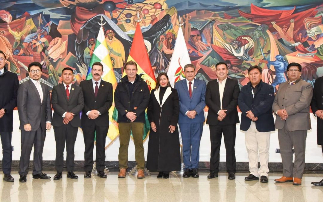PAZ SE APOYA EN 10 DE 343 MUNICIPIOS DE BOLIVIA PARA SU PROYECTO 50/50