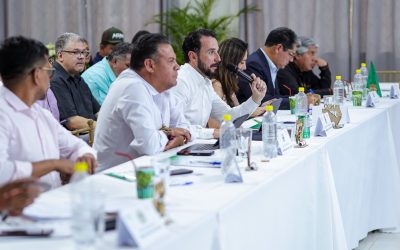 RODRIGO PAZ FALTA A LA REUNIÓN DEL 50/50 Y DEJA A LOS GOBERNADORES CON UN MINISTRO