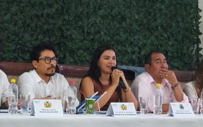 TARIJA PROPONE QUE EL 15% DE LOS IMPUESTOS NACIONALES PASE A LAS GOBERNACIONES