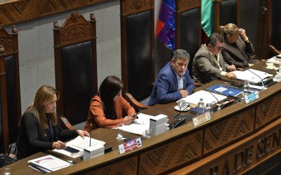 SENADO APRUEBA CRÉDITO DE $US 200 MILLONES PARA EL BONO PEPÉ QUE DEBÍA PAGARSE CON AHORROS DEL DIÉSEL